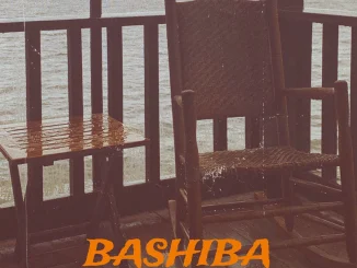Dj Damlex Soundit – Bashiba Beat Mp3 Download