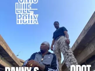Danny S – Omo Lile (Refix) Ft. Qdot Mp3 Download