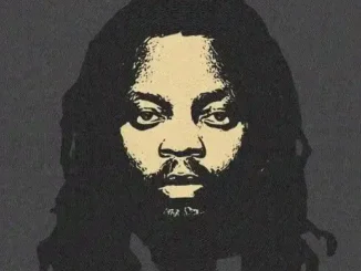 Olamide – Hybrid Mp3 Download