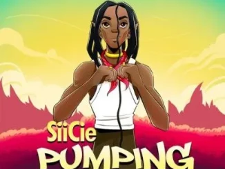 Siicie – Pumping Mp3 downloads