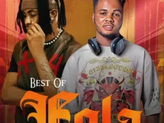Dj Lambo – Best Of Fola 2025 Mixtape Mp3 Download