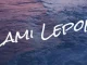 Dj Damlex Soundit – Lami Lepon Mp3 Download