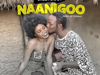 Lazzybwoy – Naanigoo Mp3 Download