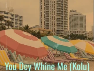 Dj Damlex Soundit X Kolu – You Dey Whine Me Mp3 Download
