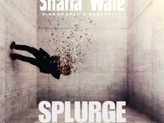 Shatta Wale – Splurge Mp3 Download