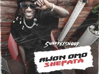 Sunkkeysnoop – Shepata Mp3 Download