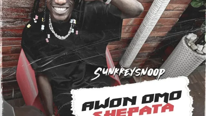 Sunkkeysnoop – Shepata Mp3 Download