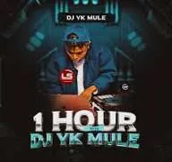 Dj yk mule - papai pashipa Mp3 Download