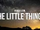 Ryman Leon – The Little Things Mp3 Download