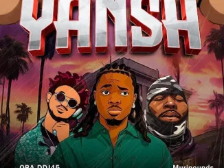 Mr Cho Boy – Water Yansh Mp3 Download