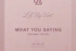 Lil Uzi Vert – What You Saying Mp3 Download