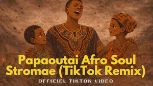 Papaoutai – Stromae (Afro Remix Nipuna Costa) MP3Download