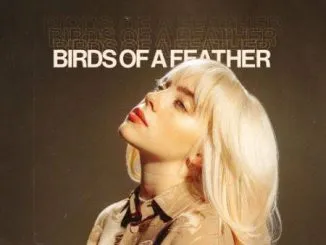 FULL EPISODES: Malcolm in the Middle Mp3 Download