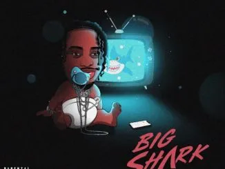 Russ Millions – Big Shark Mp3 Download