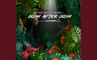 Static Que & Licious – Gqom after Gqom Download mp3