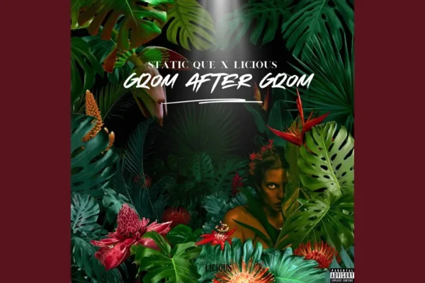 Static Que & Licious – Gqom after Gqom Download mp3